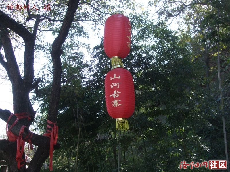 DSCF4082.JPG