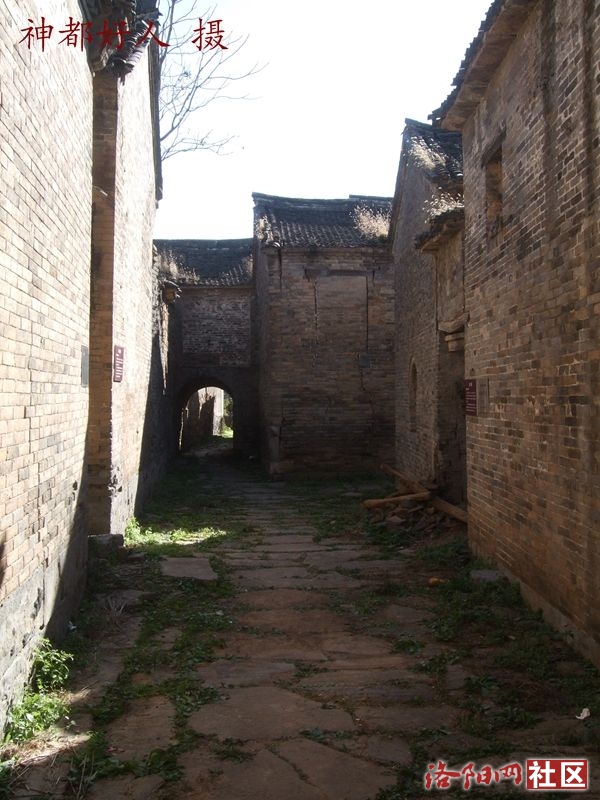 DSCF4088.JPG