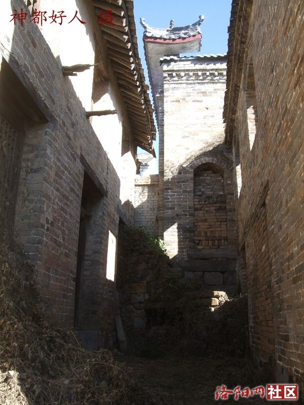 DSCF4103.JPG