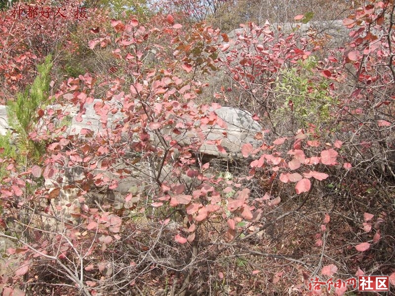 DSCF4163.JPG