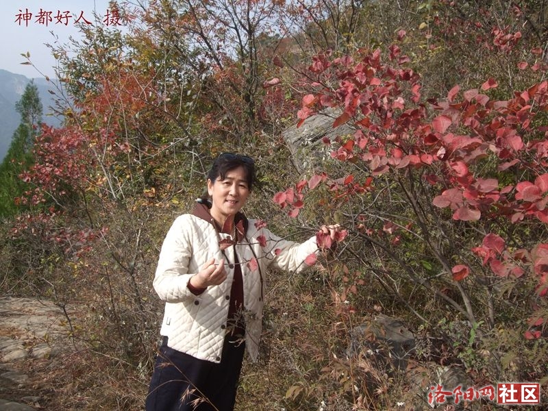 DSCF4169.JPG