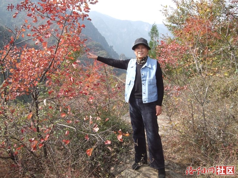 DSCF4171.JPG