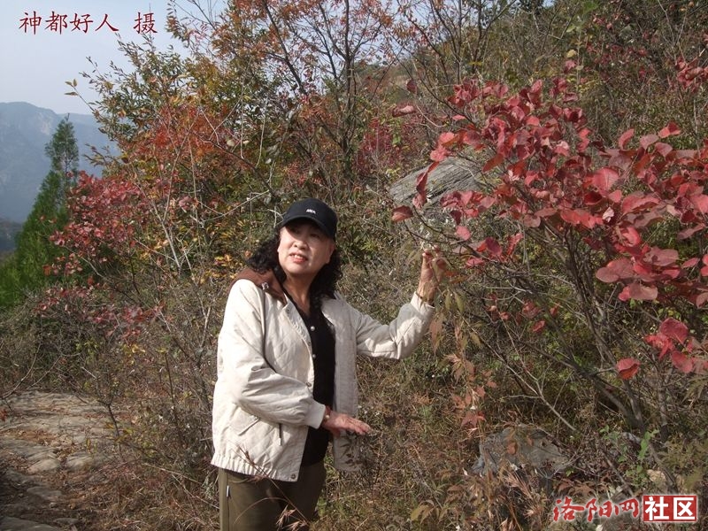 DSCF4173.JPG