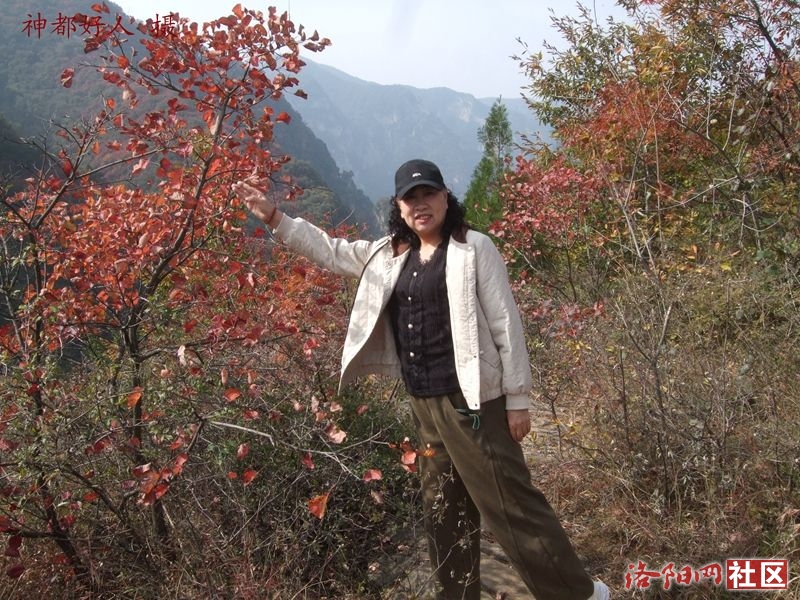 DSCF4174.JPG