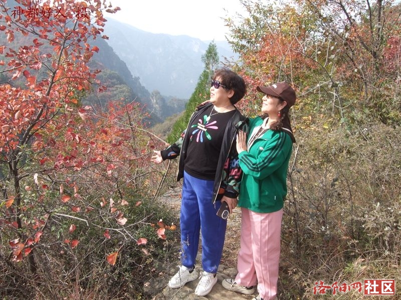 DSCF4175.JPG