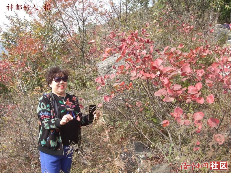 DSCF4177.JPG