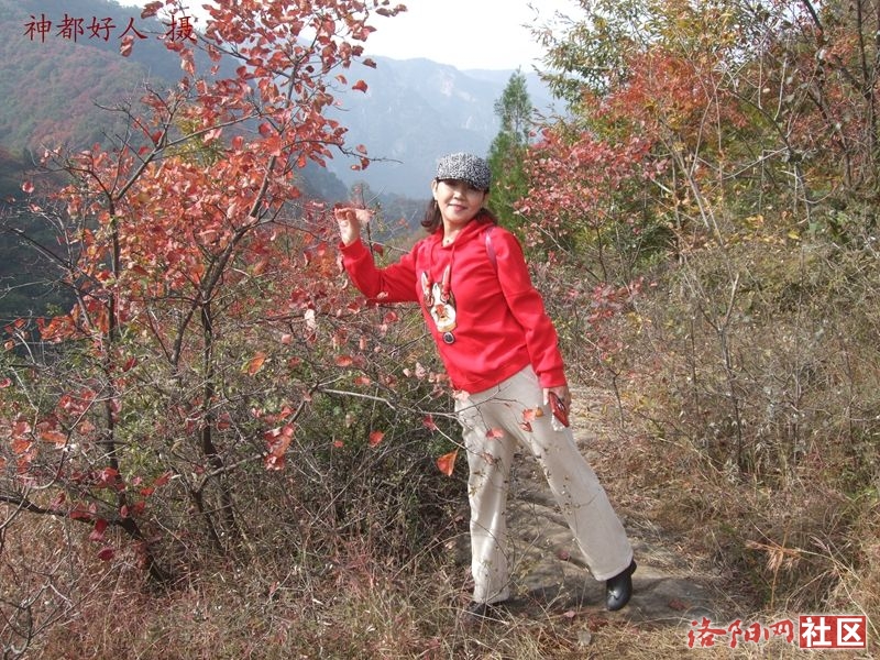 DSCF4180.JPG