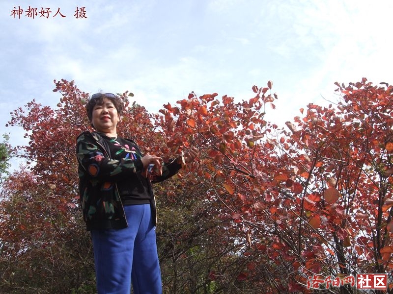 DSCF4182.JPG