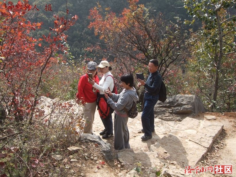 DSCF4184.JPG