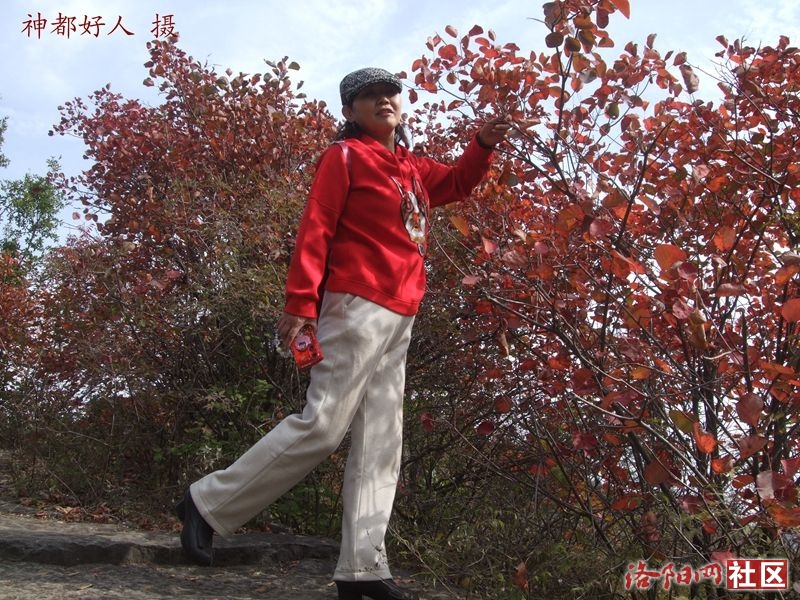 DSCF4191.JPG
