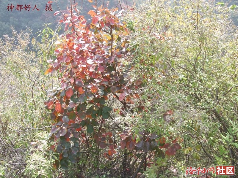 DSCF4226.JPG