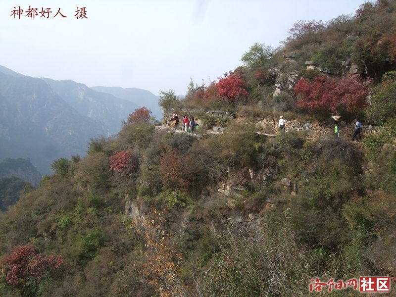DSCF4227.JPG