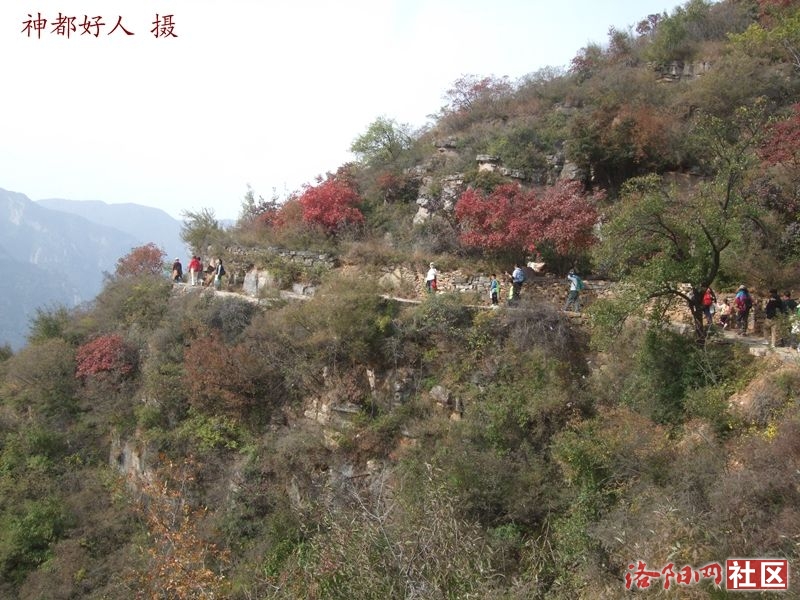 DSCF4228.JPG