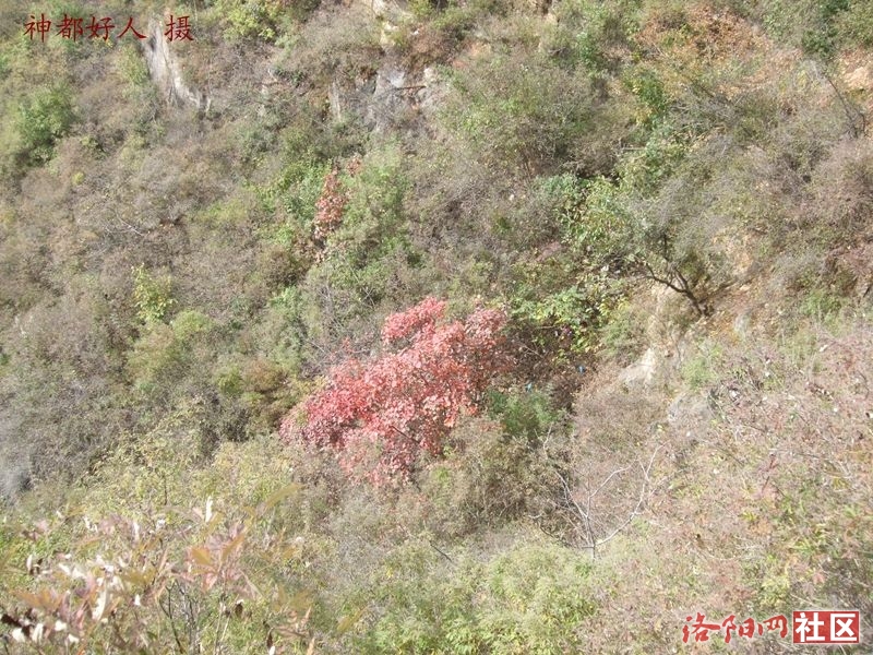 DSCF4229.JPG