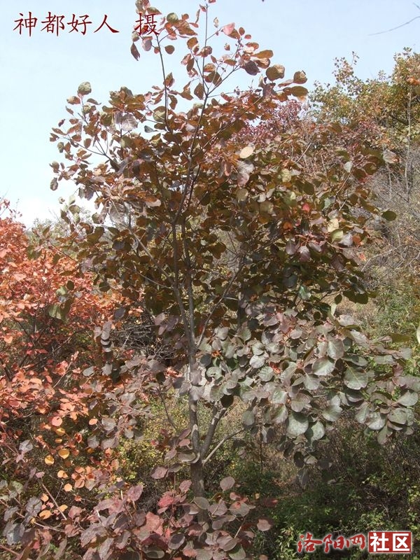 DSCF4235.JPG