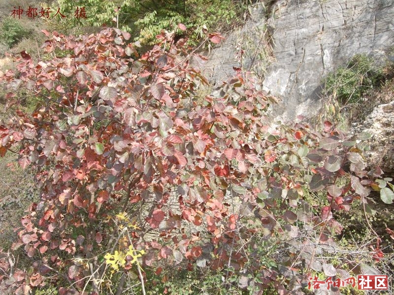 DSCF4236.JPG