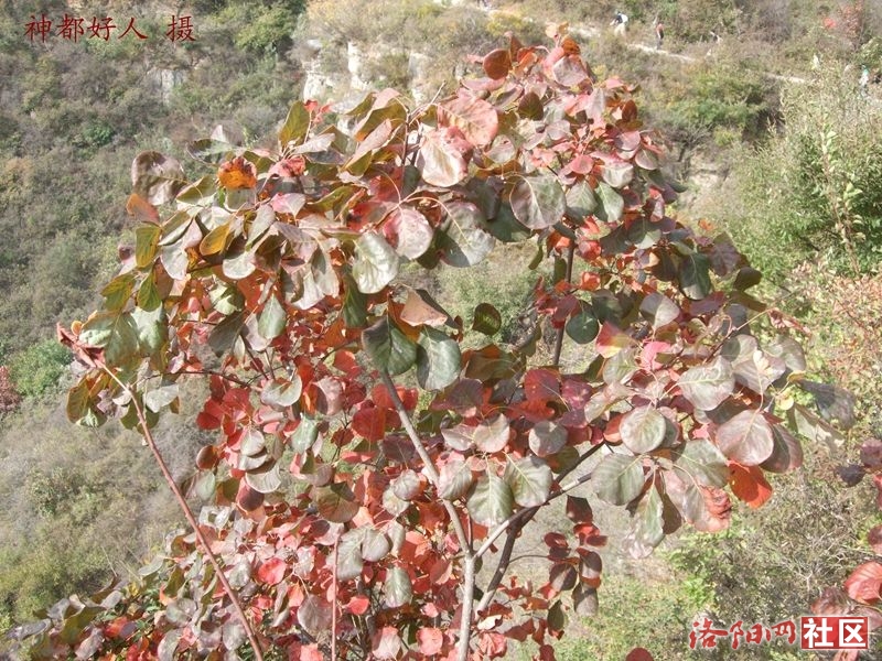 DSCF4237.JPG