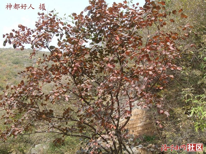 DSCF4238.JPG