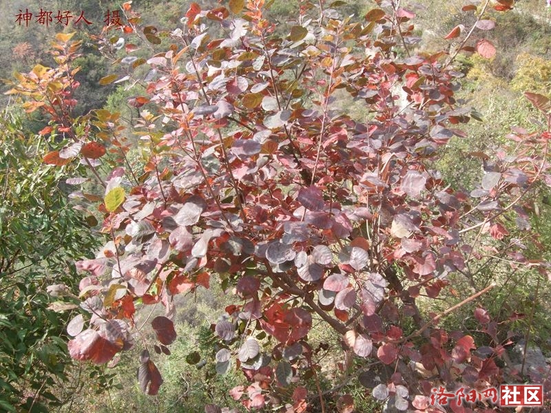 DSCF4239.JPG