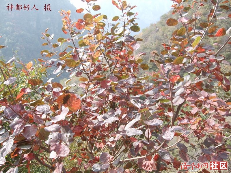 DSCF4240.JPG