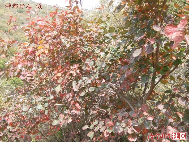 DSCF4241.JPG