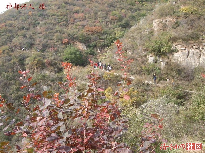 DSCF4242.JPG