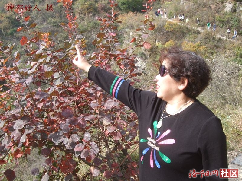 DSCF4247.JPG