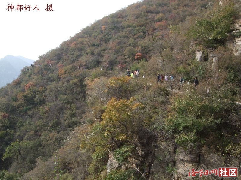 DSCF4250.JPG