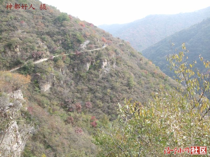 DSCF4253.JPG