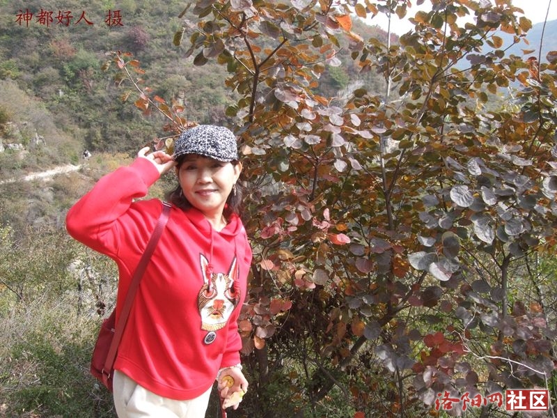 DSCF4254.JPG