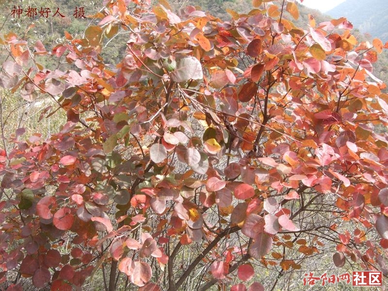 DSCF4257.JPG