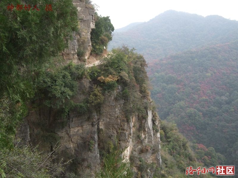 DSCF4287.JPG