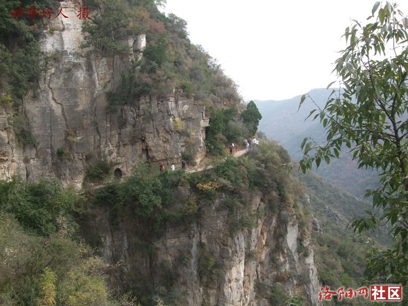 DSCF4295.JPG