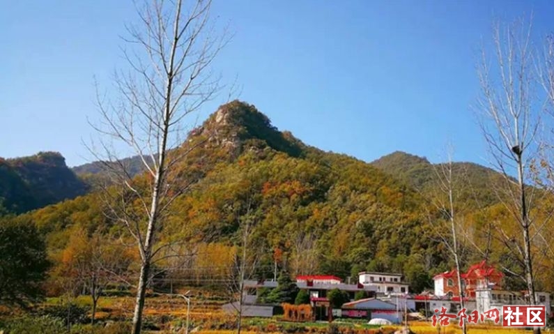 28.jpg