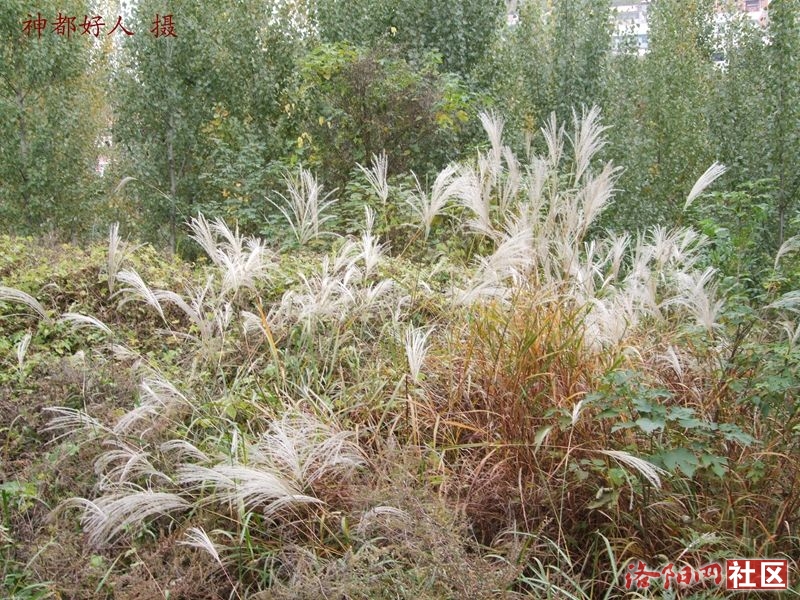 DSCF4004.JPG