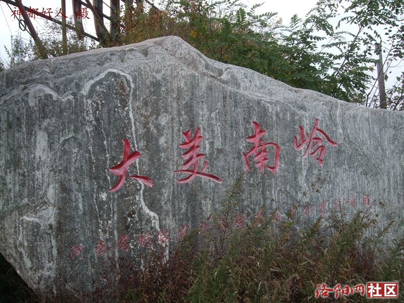 DSCF4011.JPG