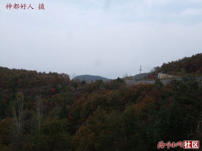DSCF4012.JPG