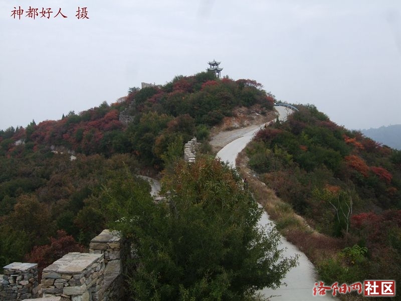 DSCF4036.JPG