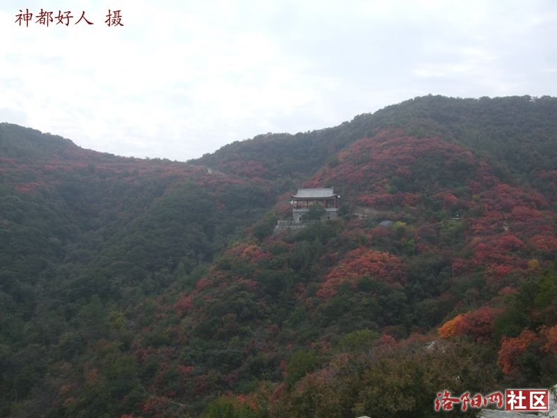 DSCF4037.JPG