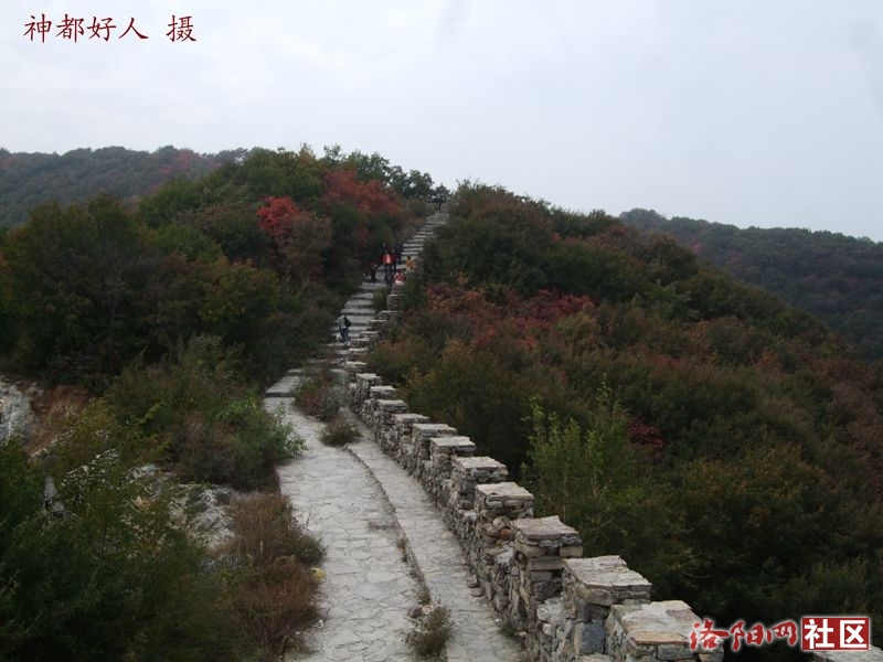 DSCF4038.JPG