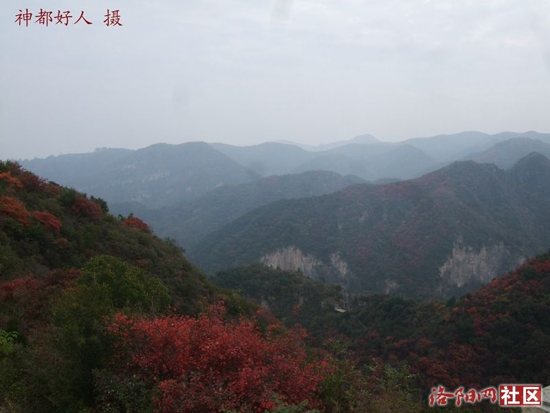 DSCF4039.JPG