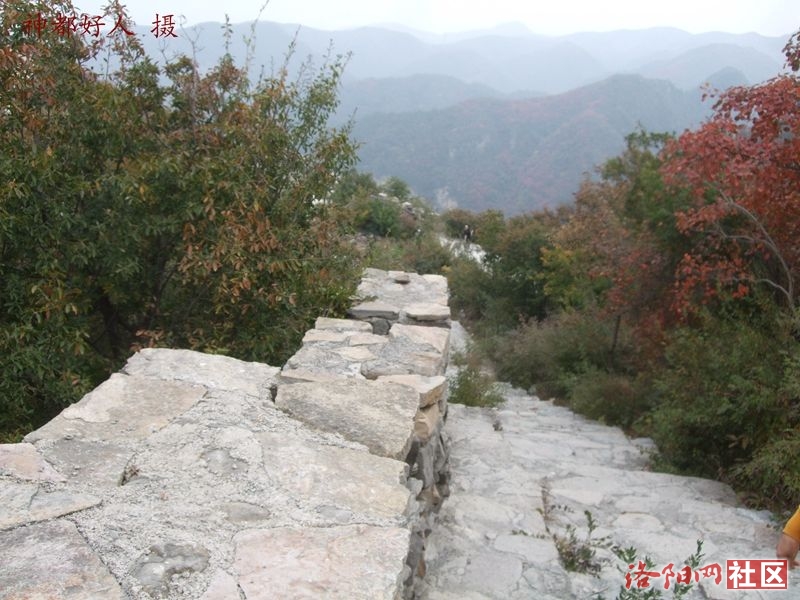 DSCF4043.JPG