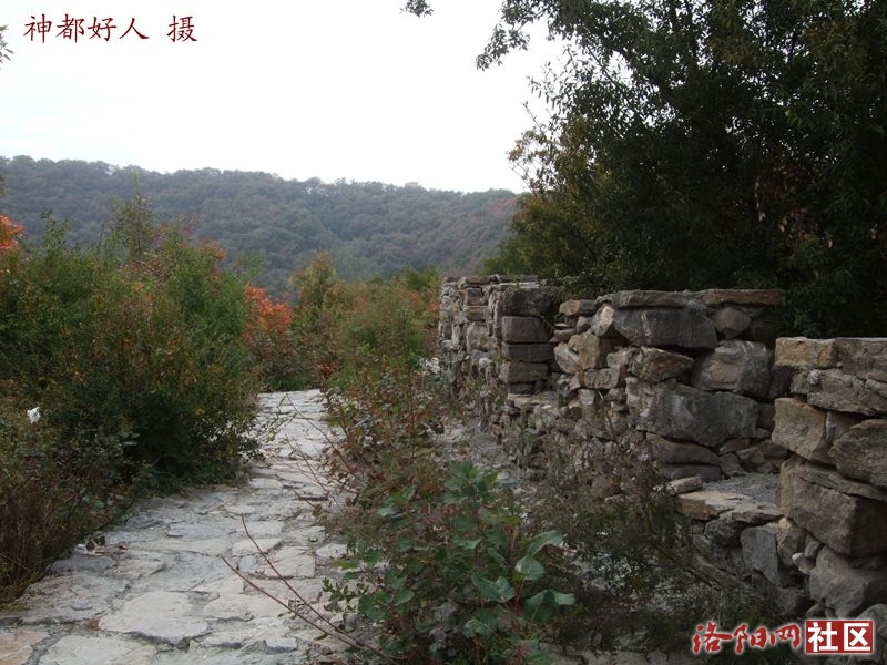 DSCF4046.JPG