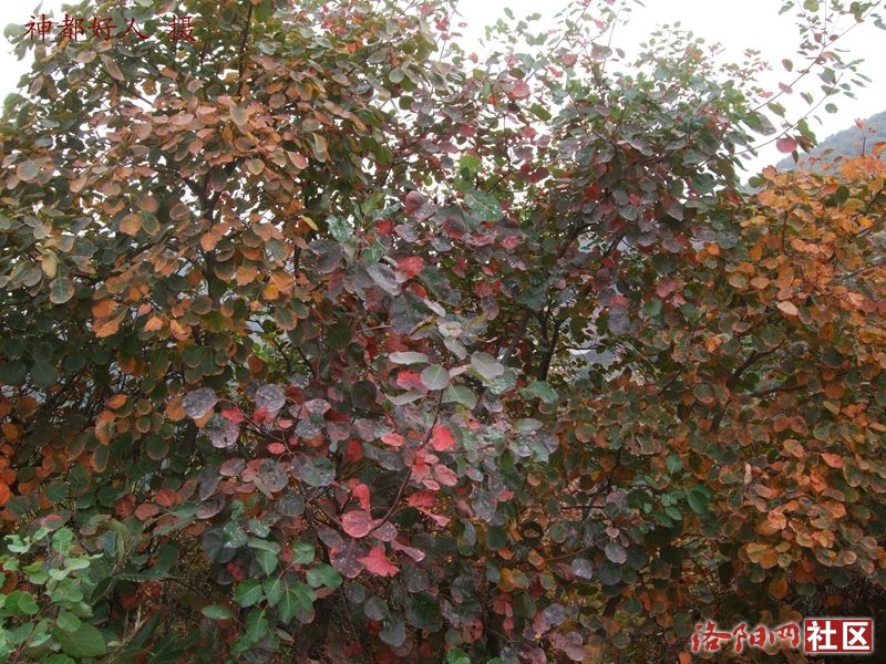 DSCF4047.JPG