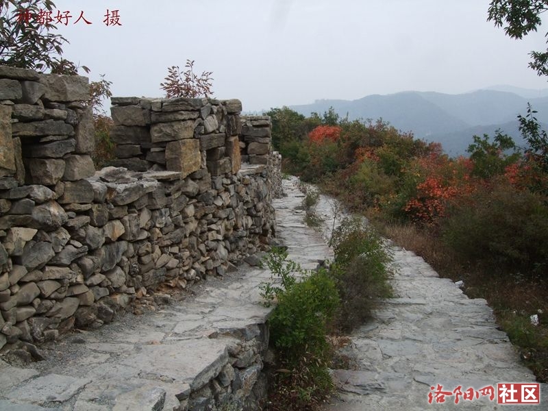 DSCF4050.JPG