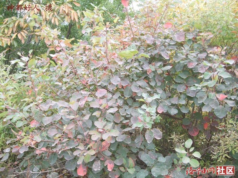 DSCF4051.JPG