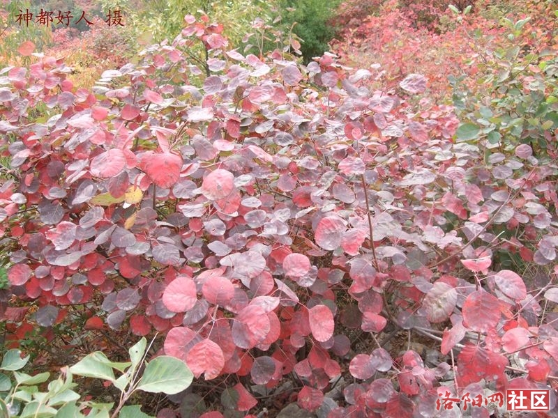 DSCF4054.JPG