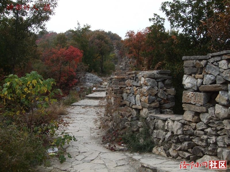 DSCF4059.JPG