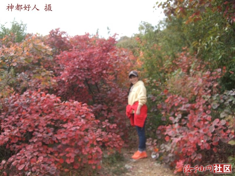 DSCF4062.JPG