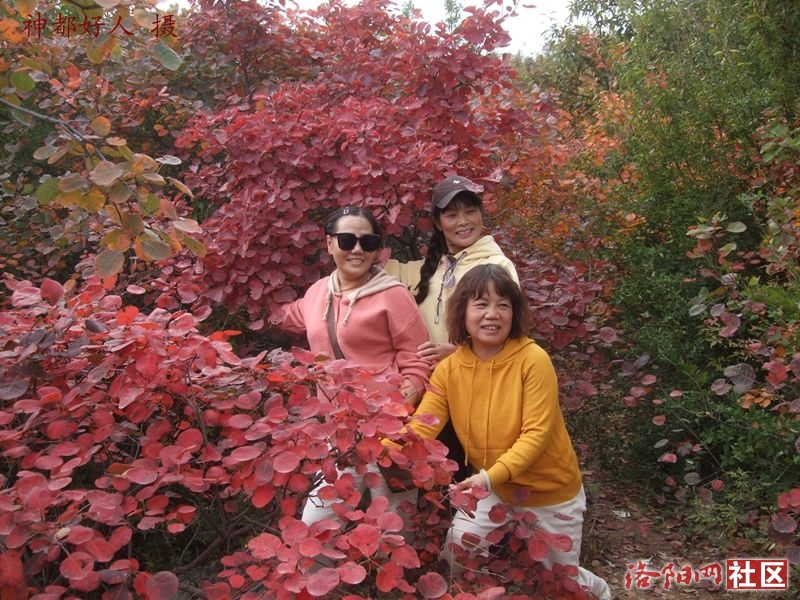 DSCF4067.JPG